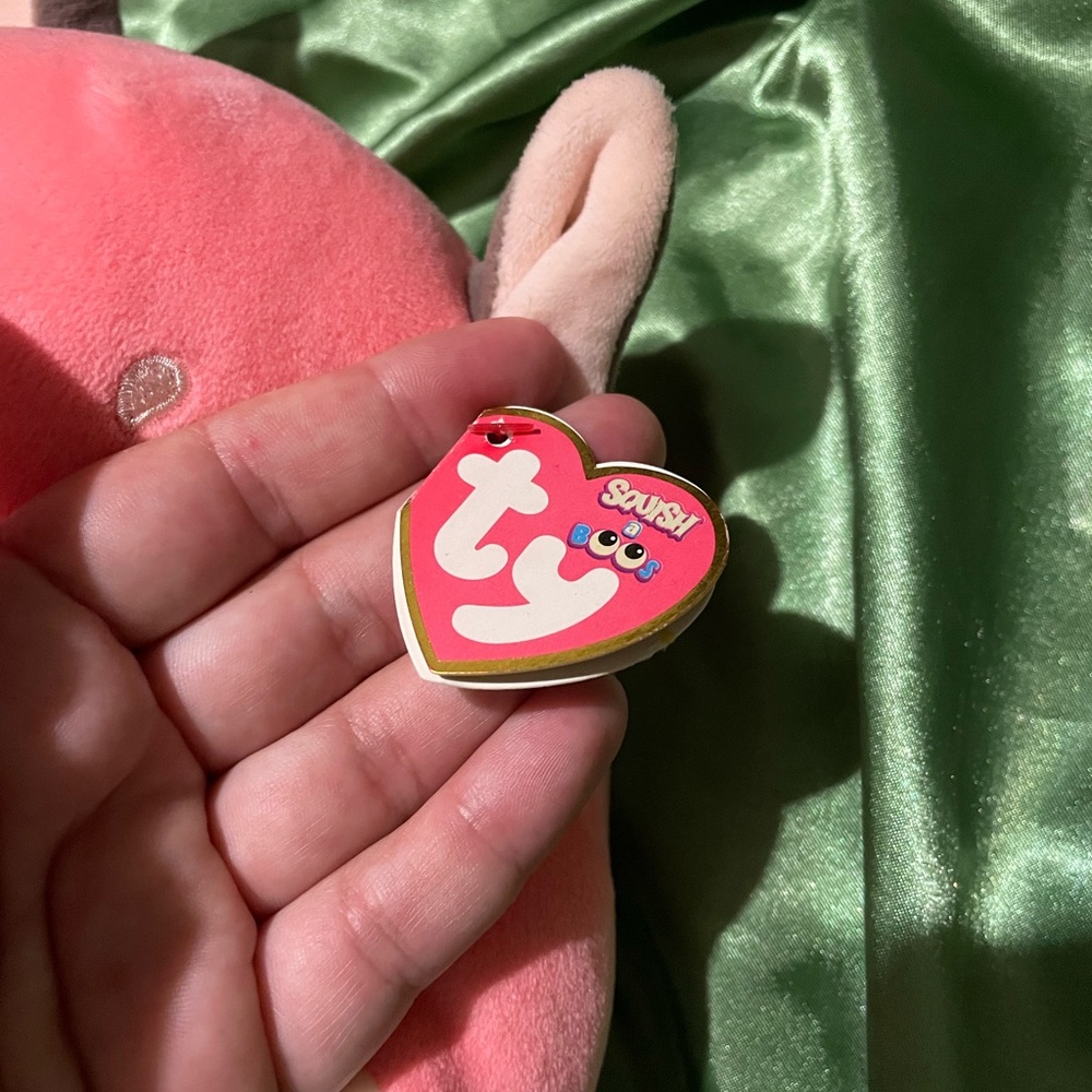 TY plushy: Roxy - Picture 2 of 3